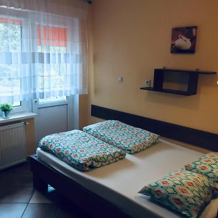 Zielony Zakatek Chlapowo Domki I Pokoje Wladyslawowo Exterior photo